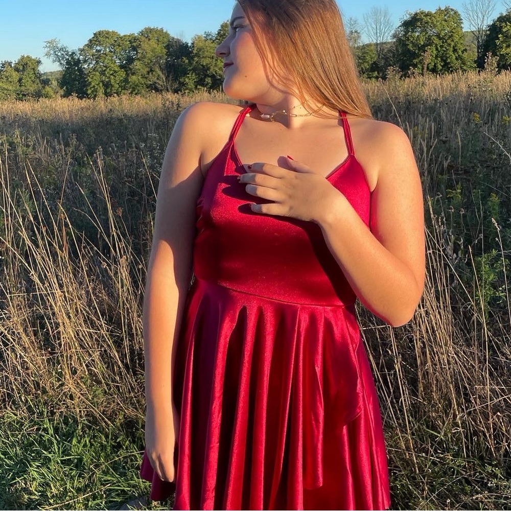 red windsor skater a line dress